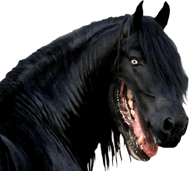 horsey bb